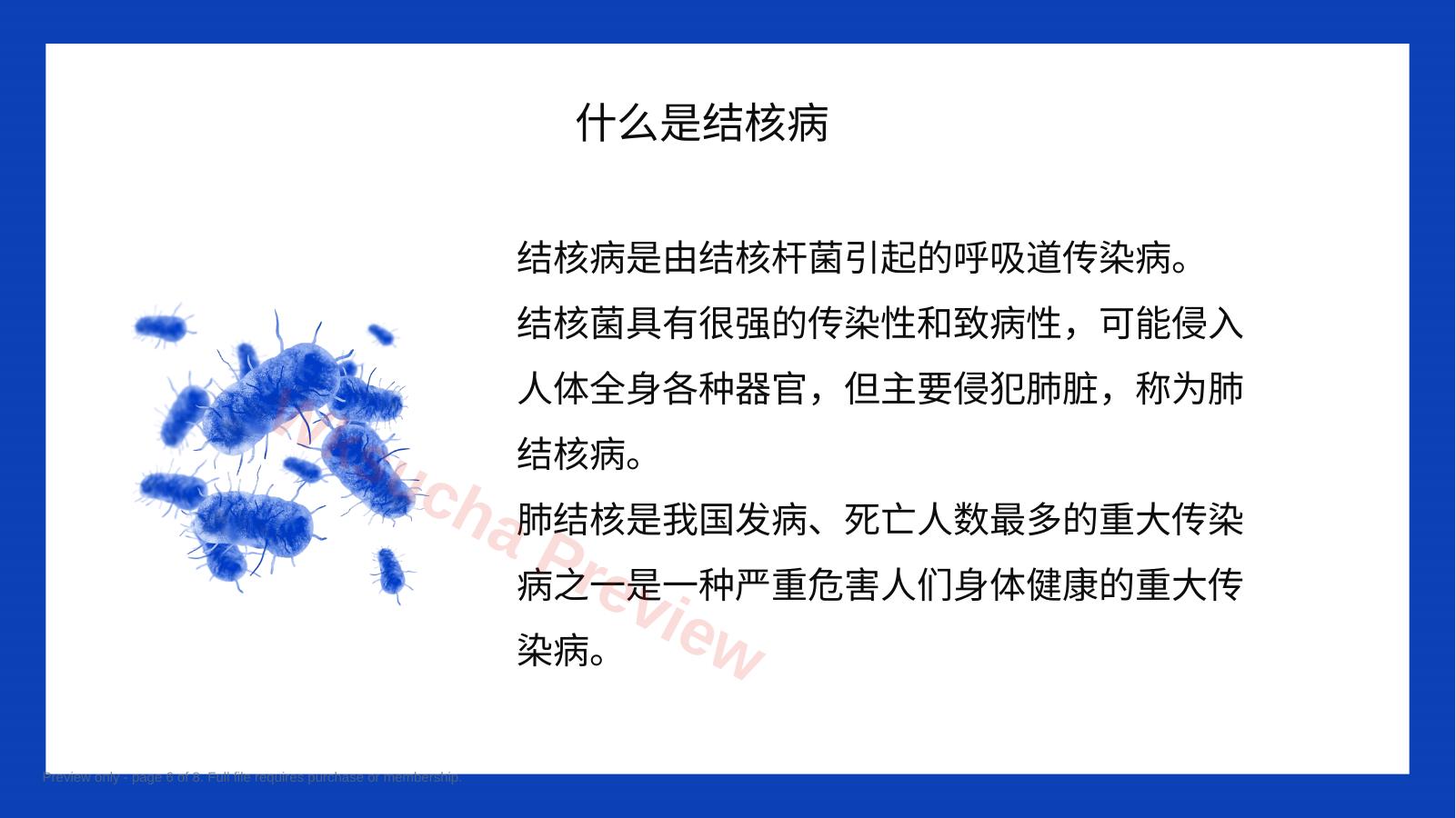 预览第 6 页