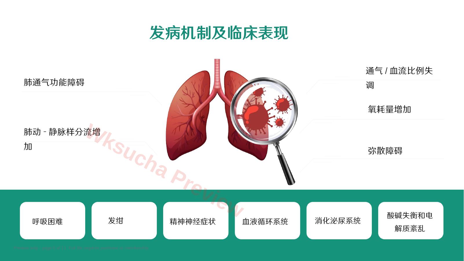 预览第 5 页