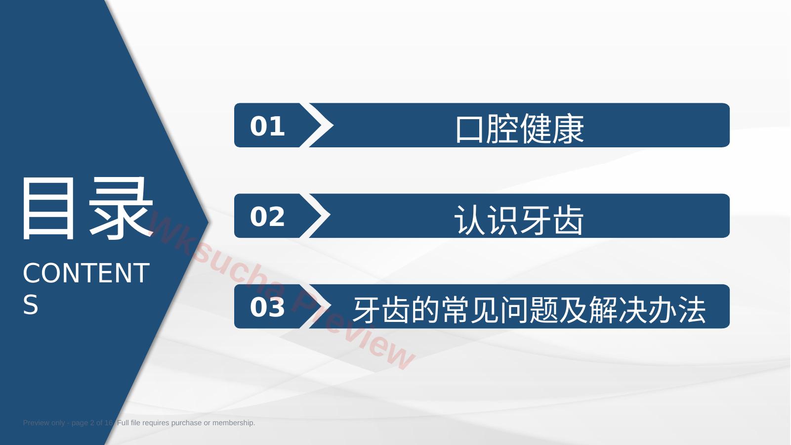 预览第 2 页
