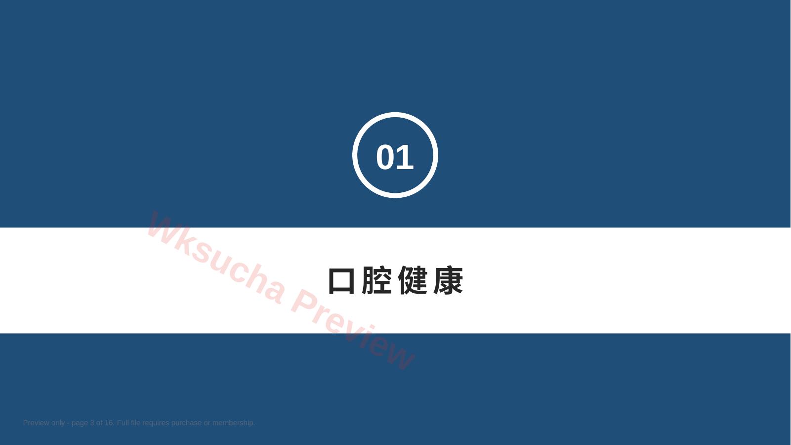 预览第 3 页
