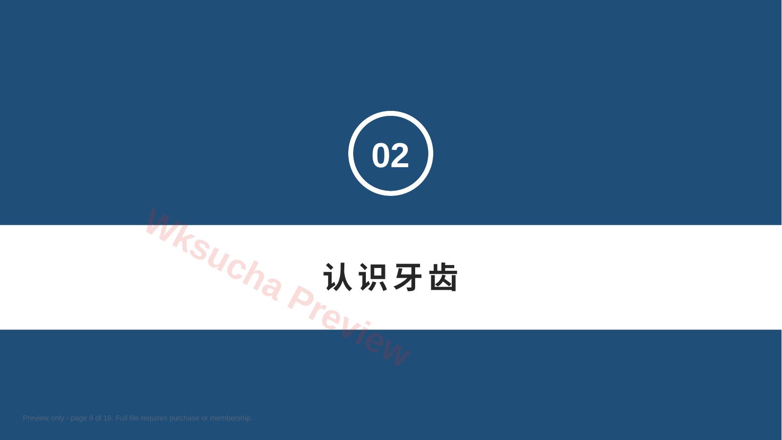 预览第 9 页