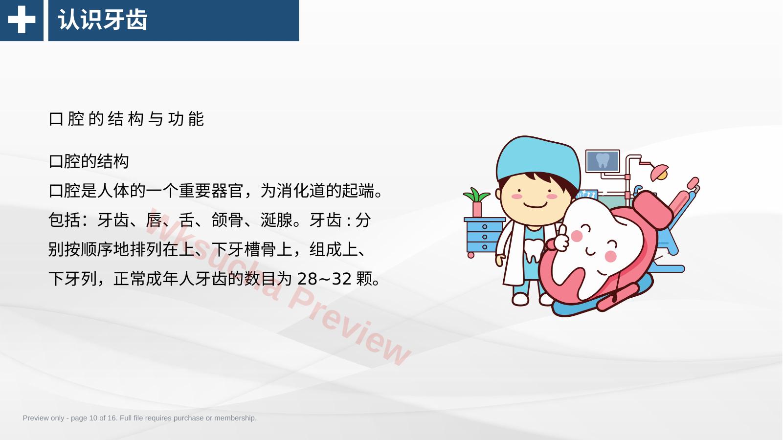 预览第 10 页