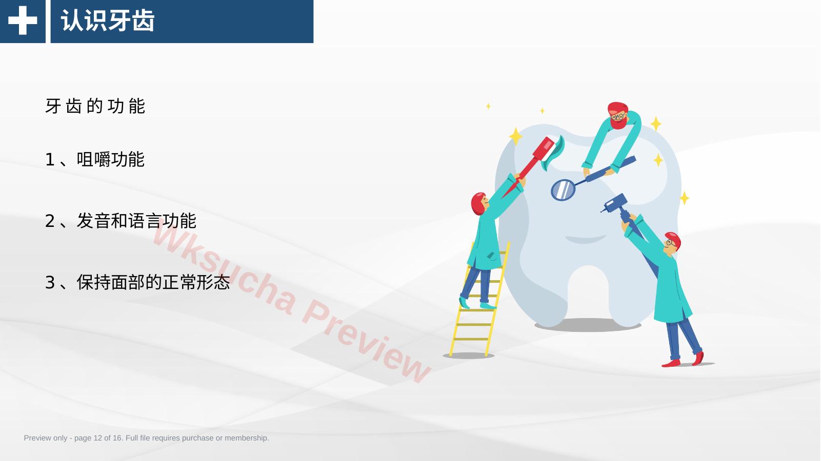 预览第 12 页
