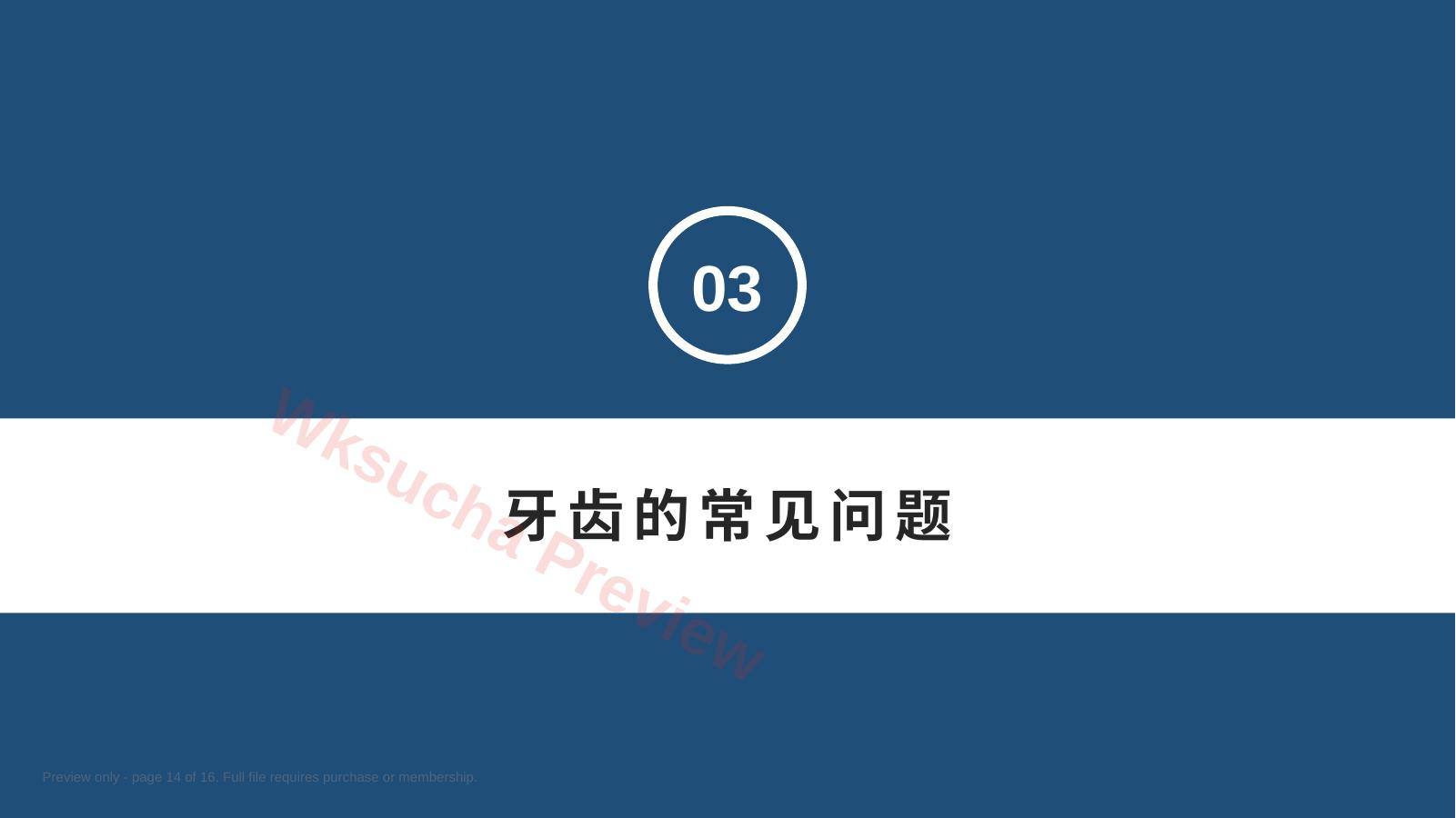 预览第 14 页