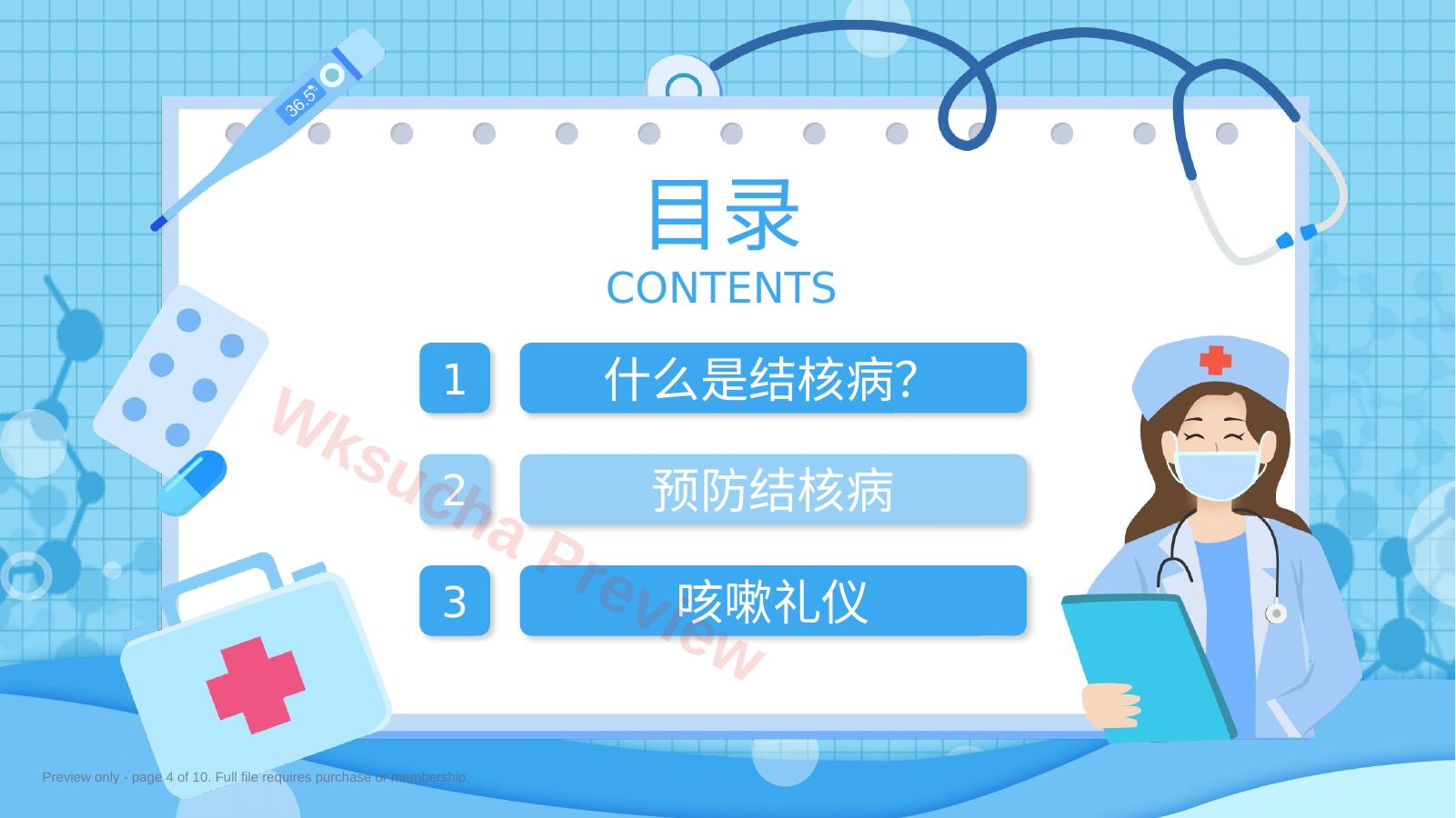 预览第 4 页