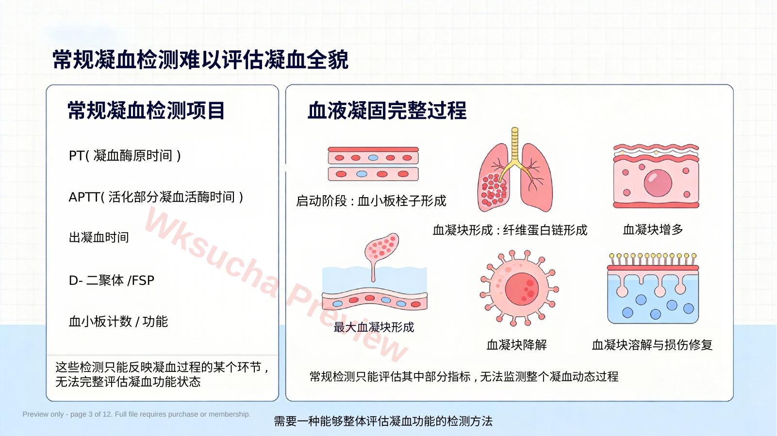 预览第 3 页