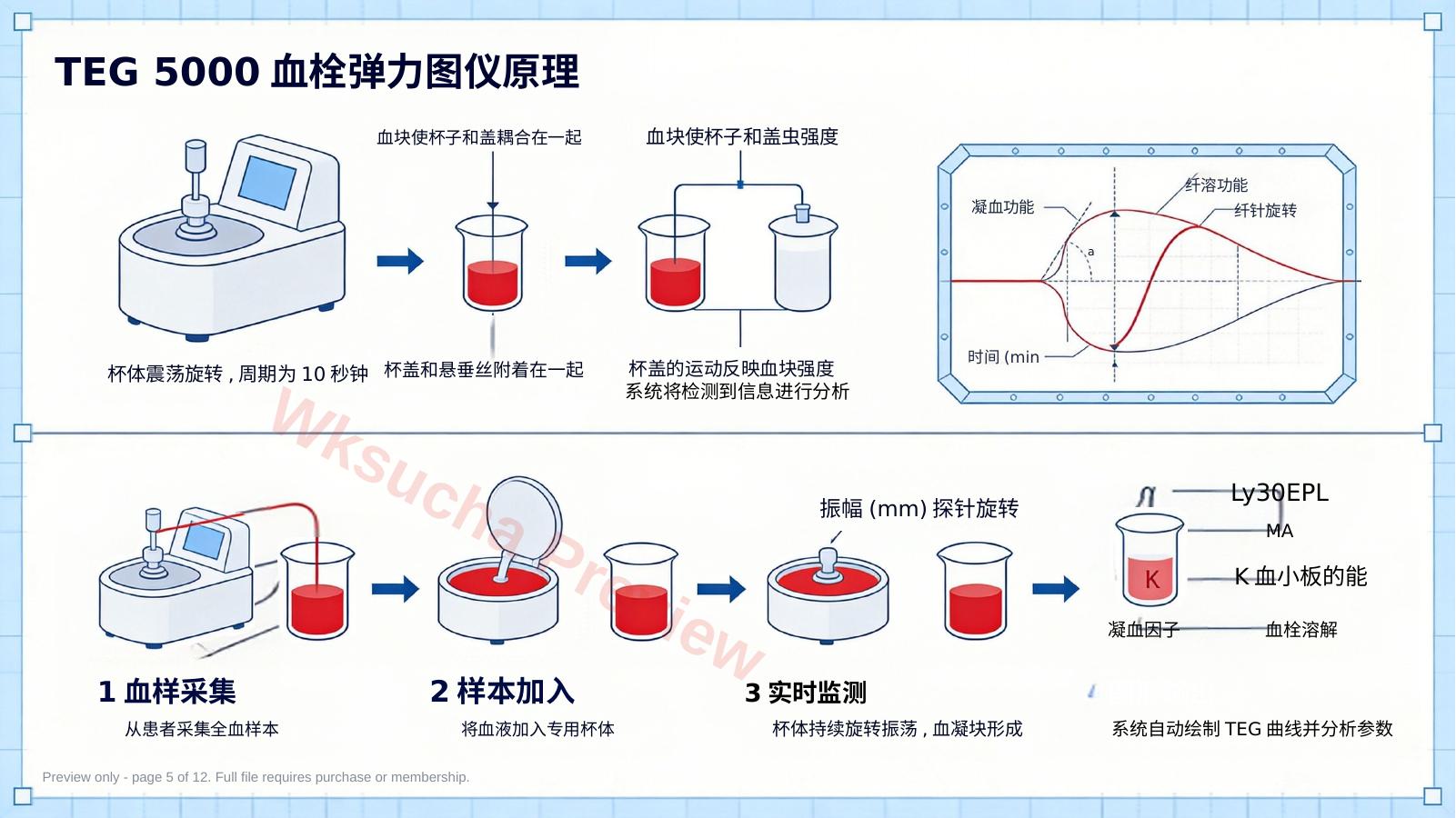 预览第 5 页
