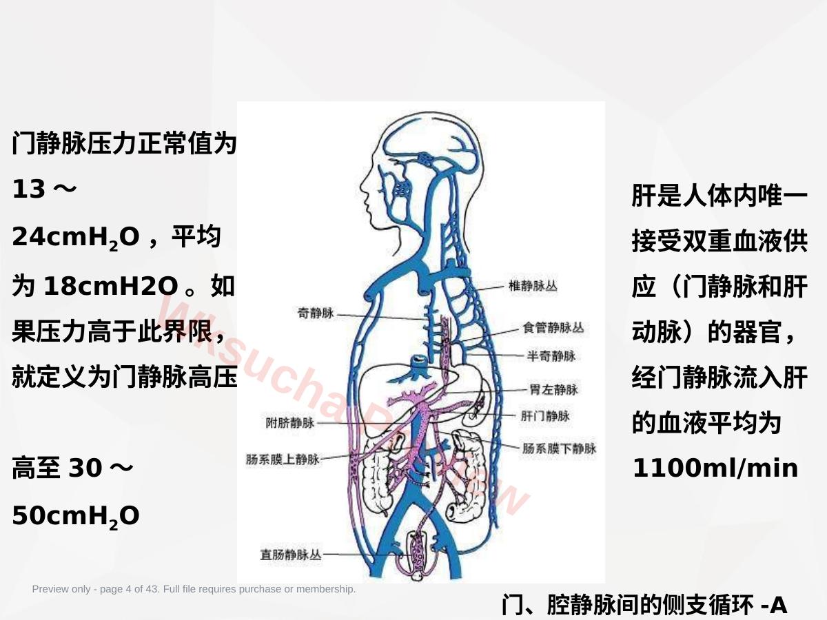 预览第 4 页
