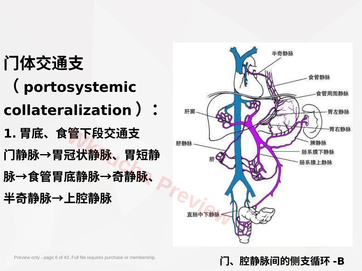 预览第 6 页