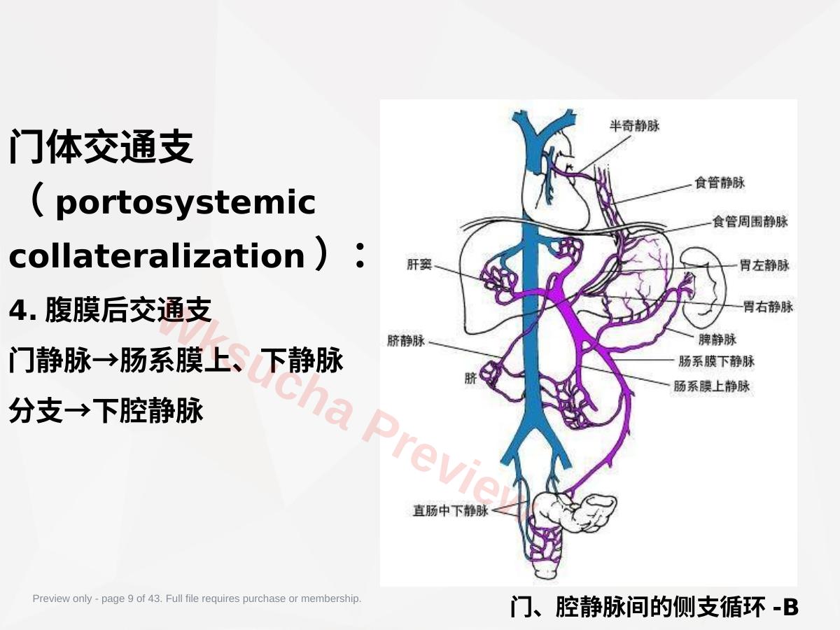 预览第 9 页