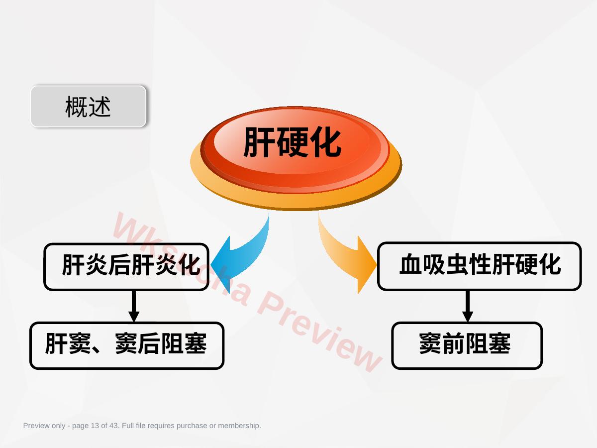 预览第 13 页