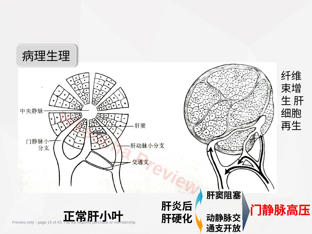 预览第 14 页