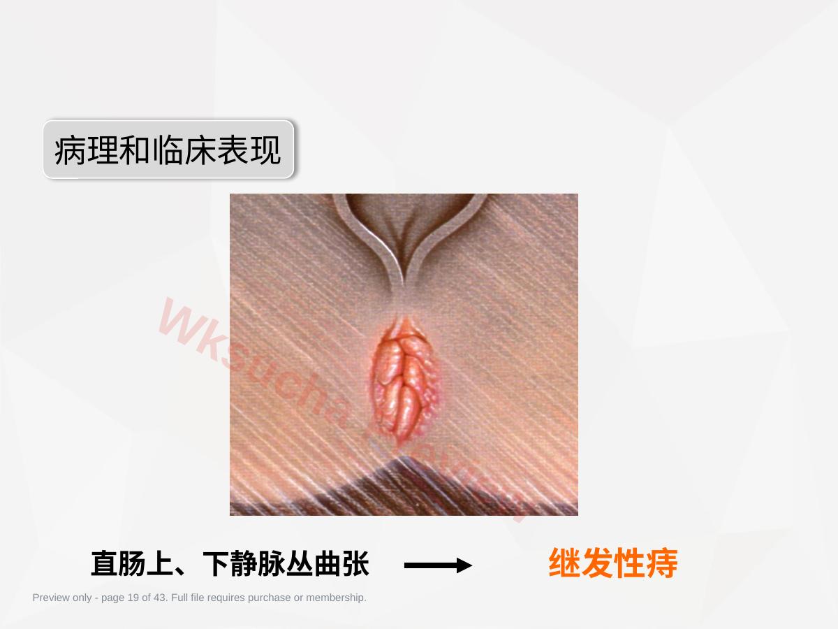 预览第 19 页