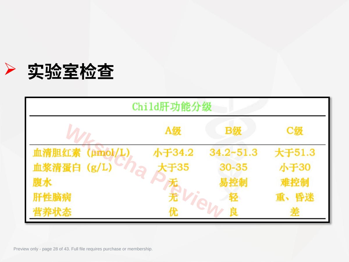 预览第 28 页