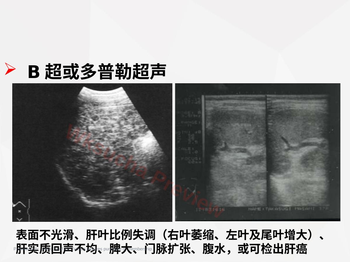 预览第 29 页
