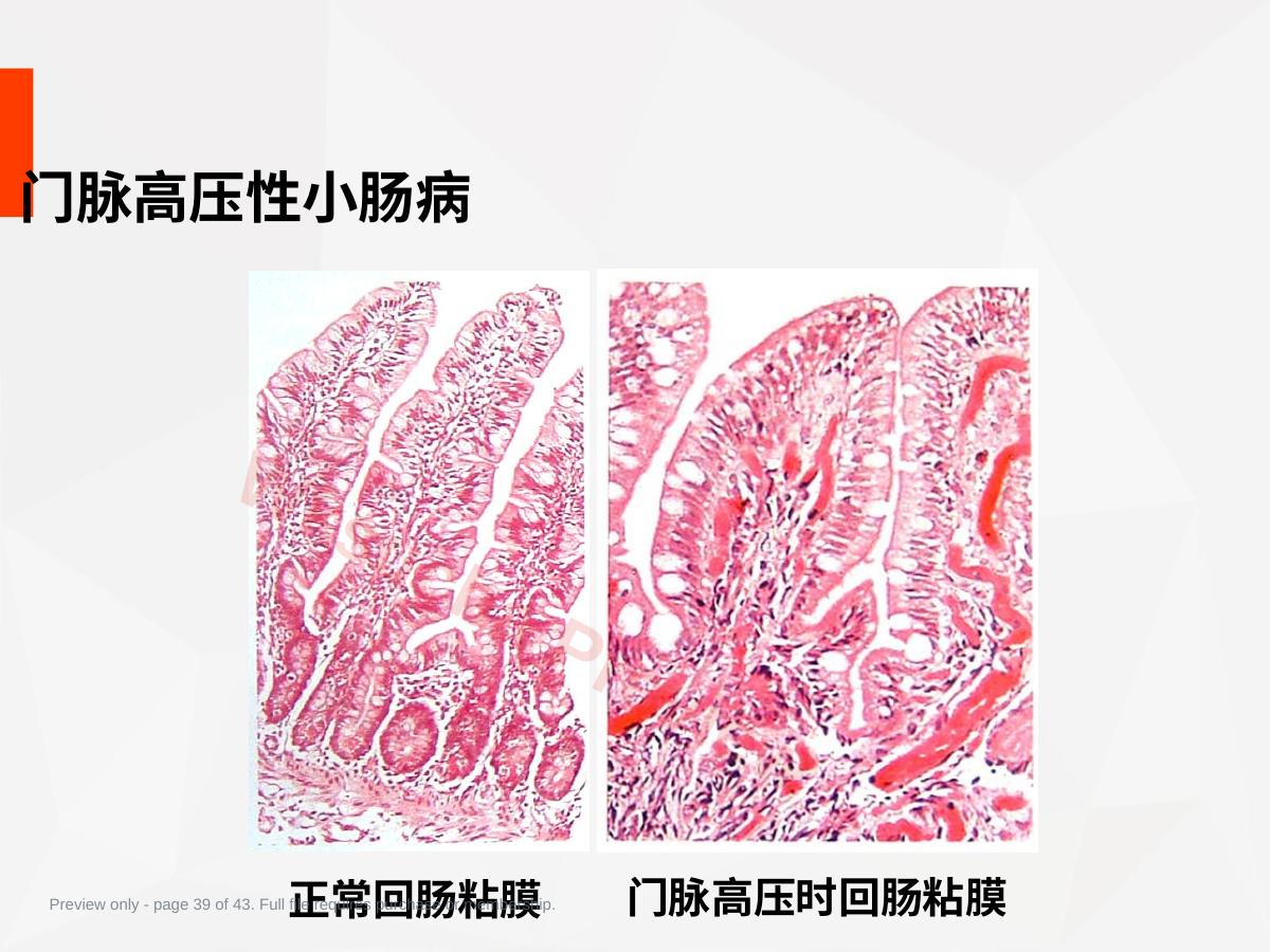 预览第 39 页
