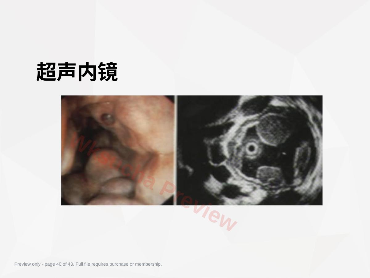 预览第 40 页