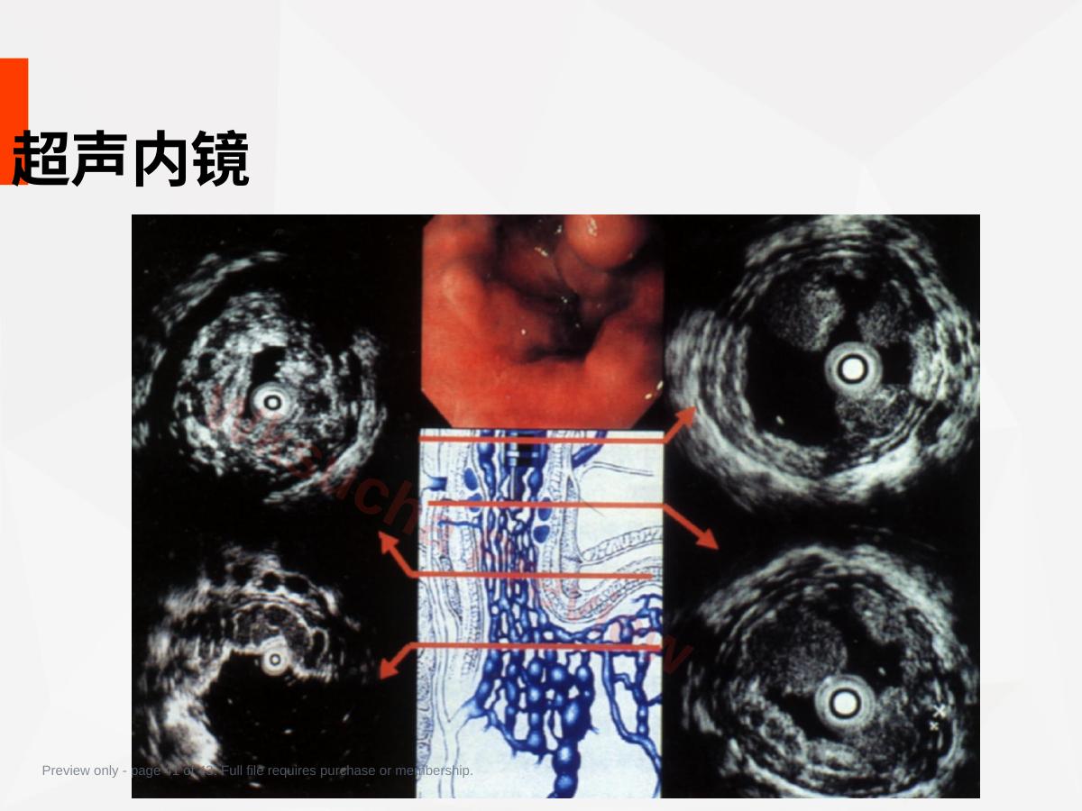 预览第 41 页