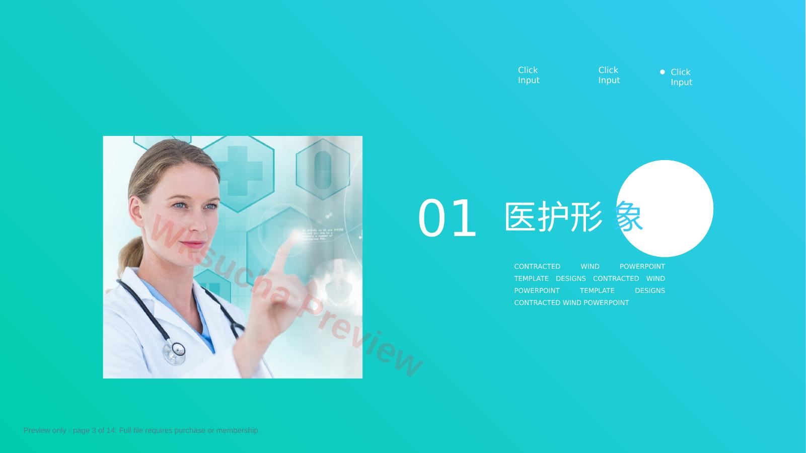 预览第 3 页