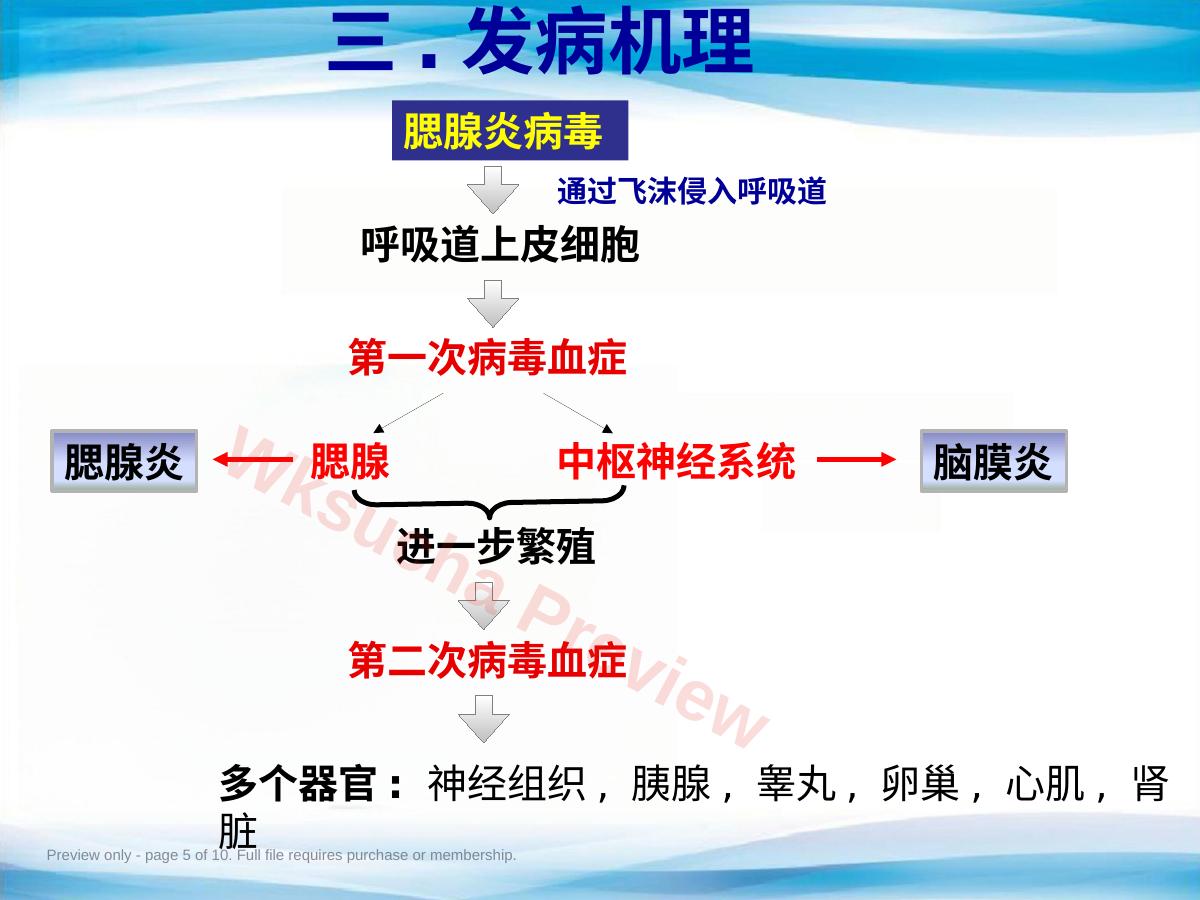 预览第 5 页