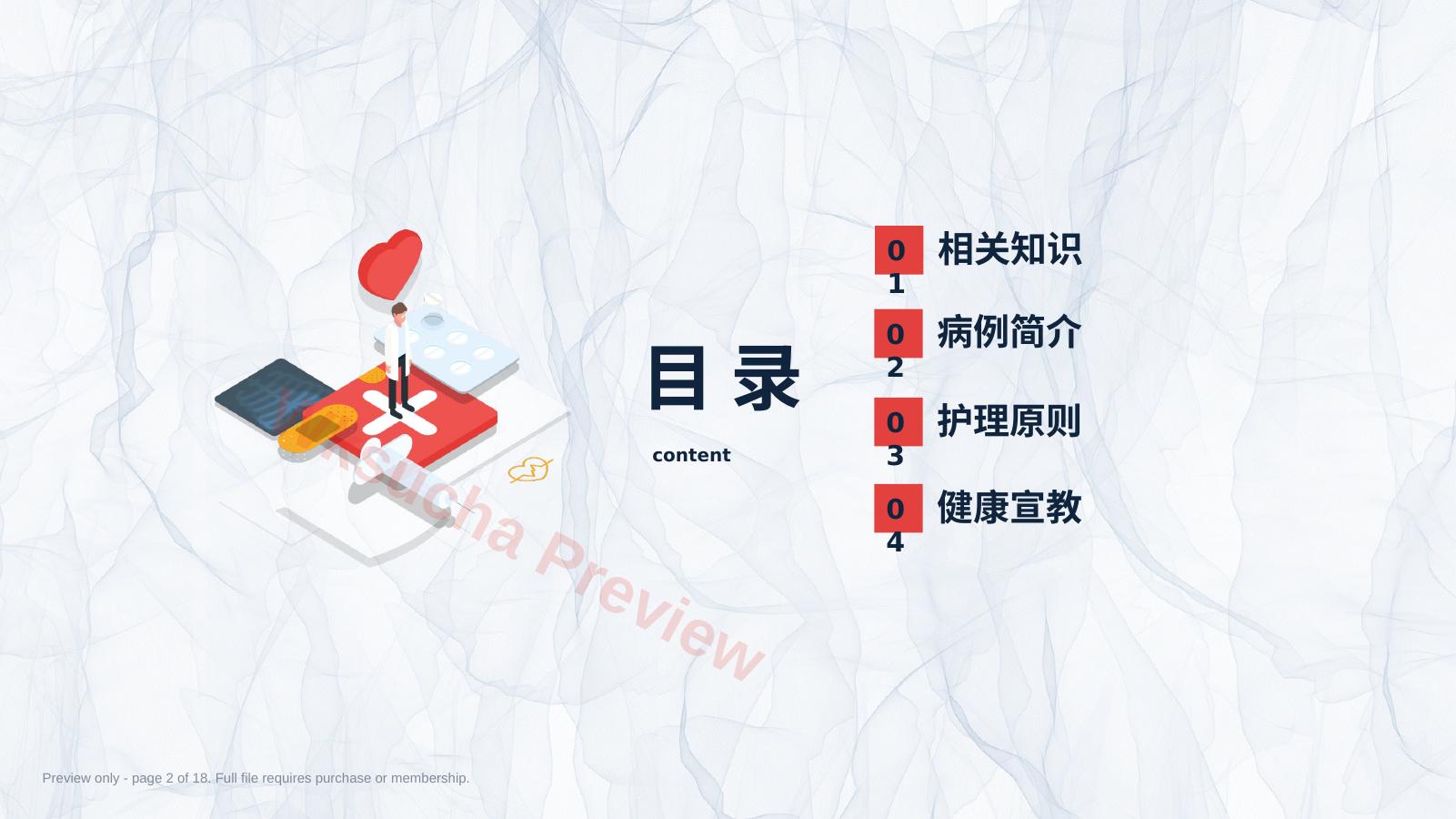 预览第 2 页
