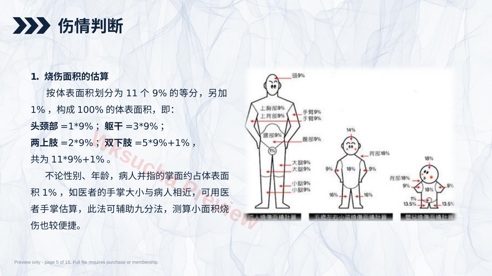 预览第 5 页