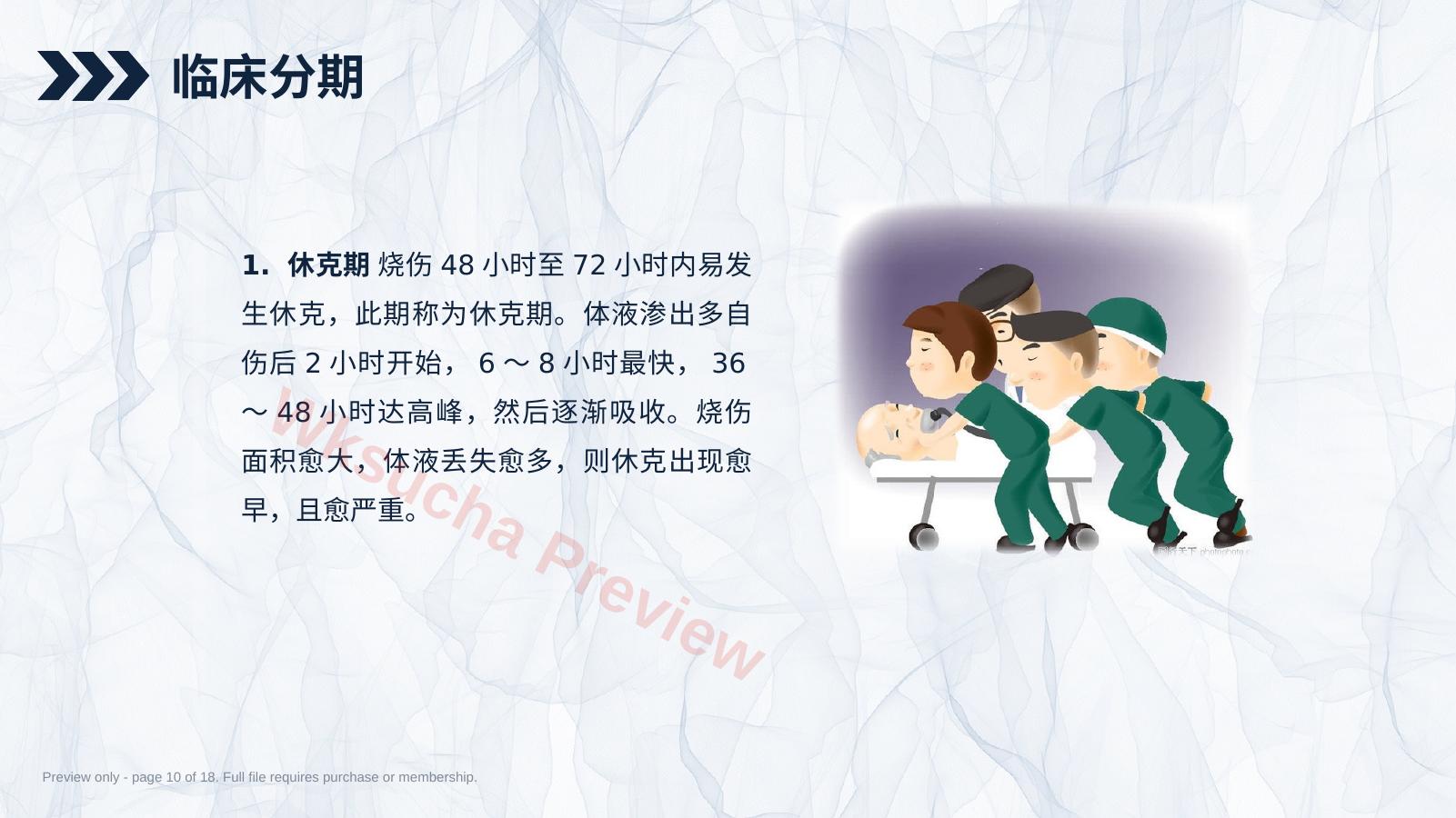 预览第 10 页