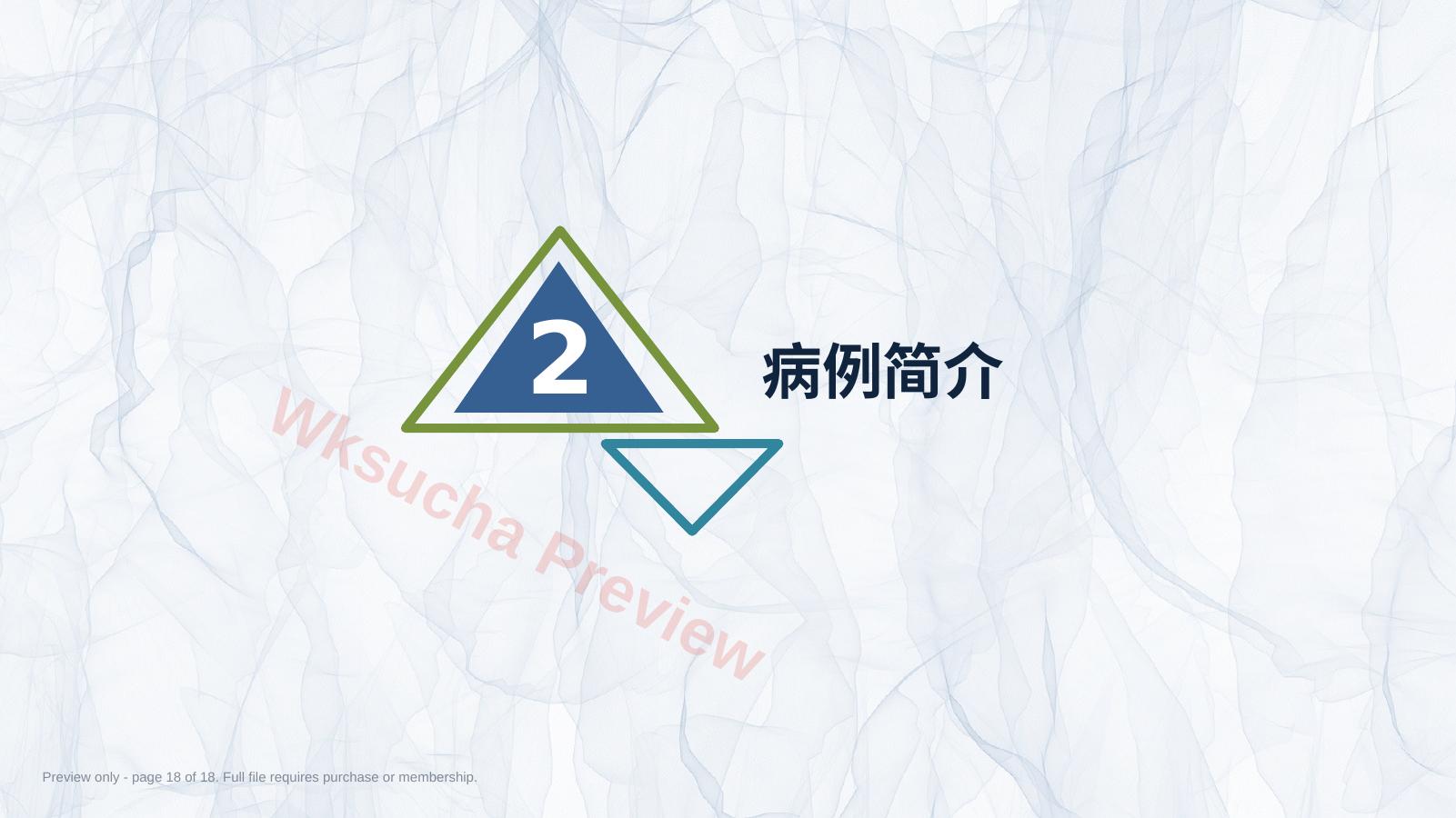 预览第 18 页