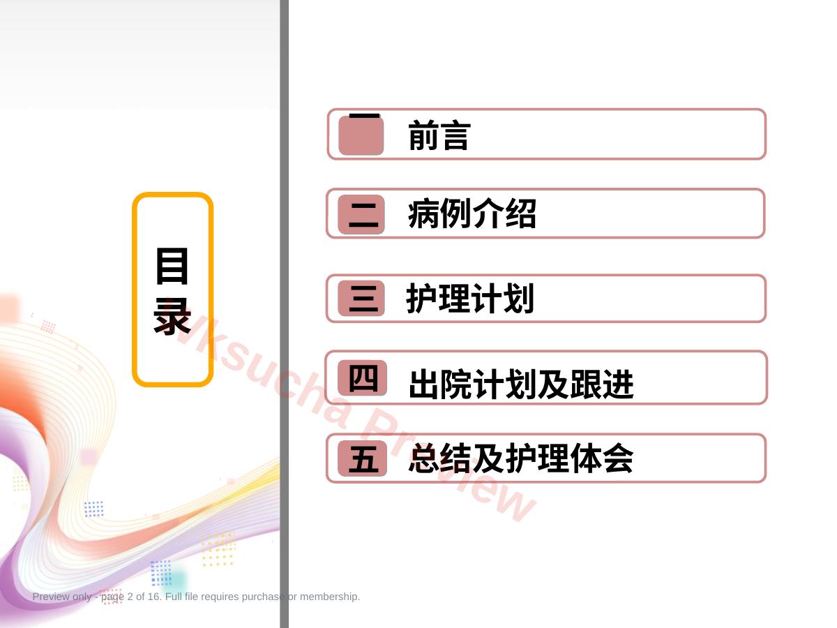 预览第 2 页