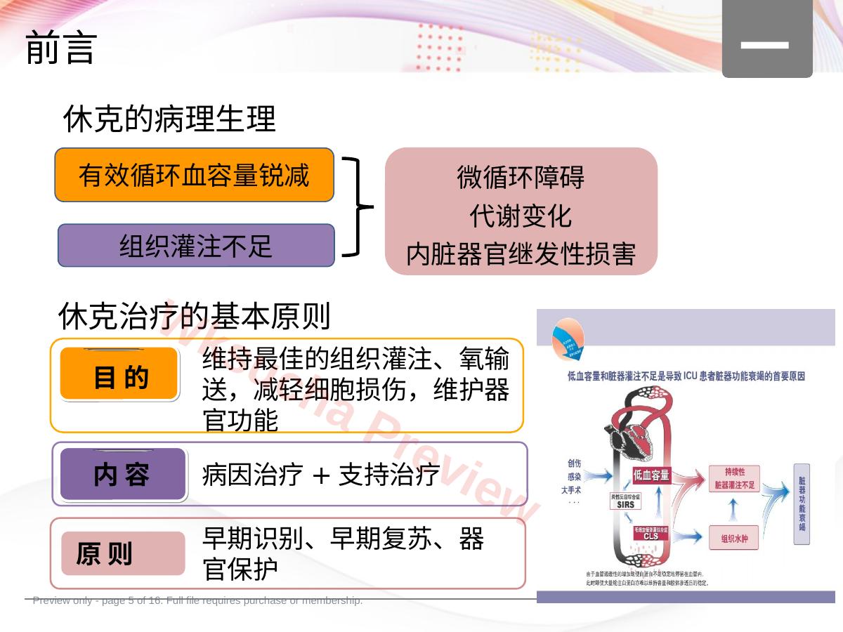 预览第 5 页