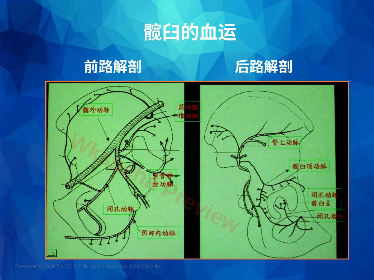 预览第 5 页