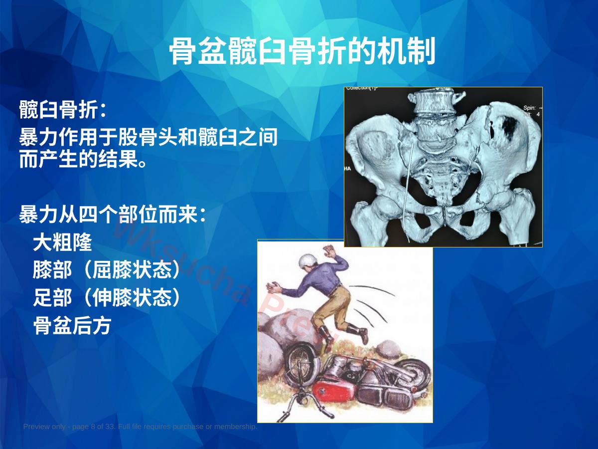 预览第 8 页