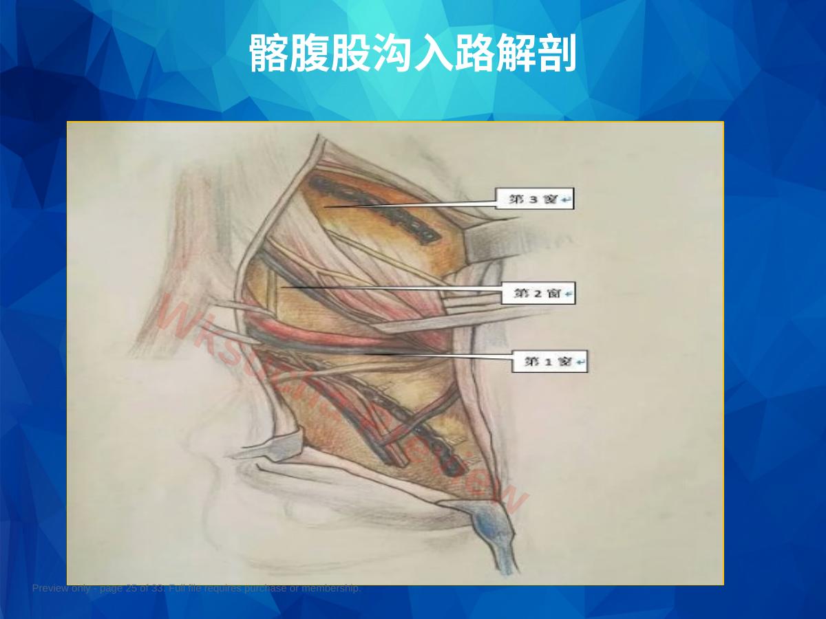 预览第 25 页