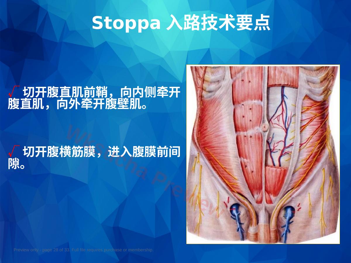预览第 28 页