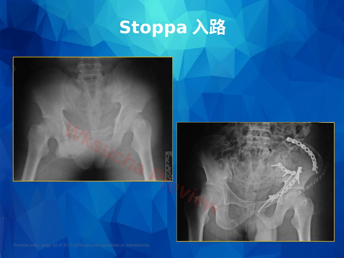 预览第 30 页