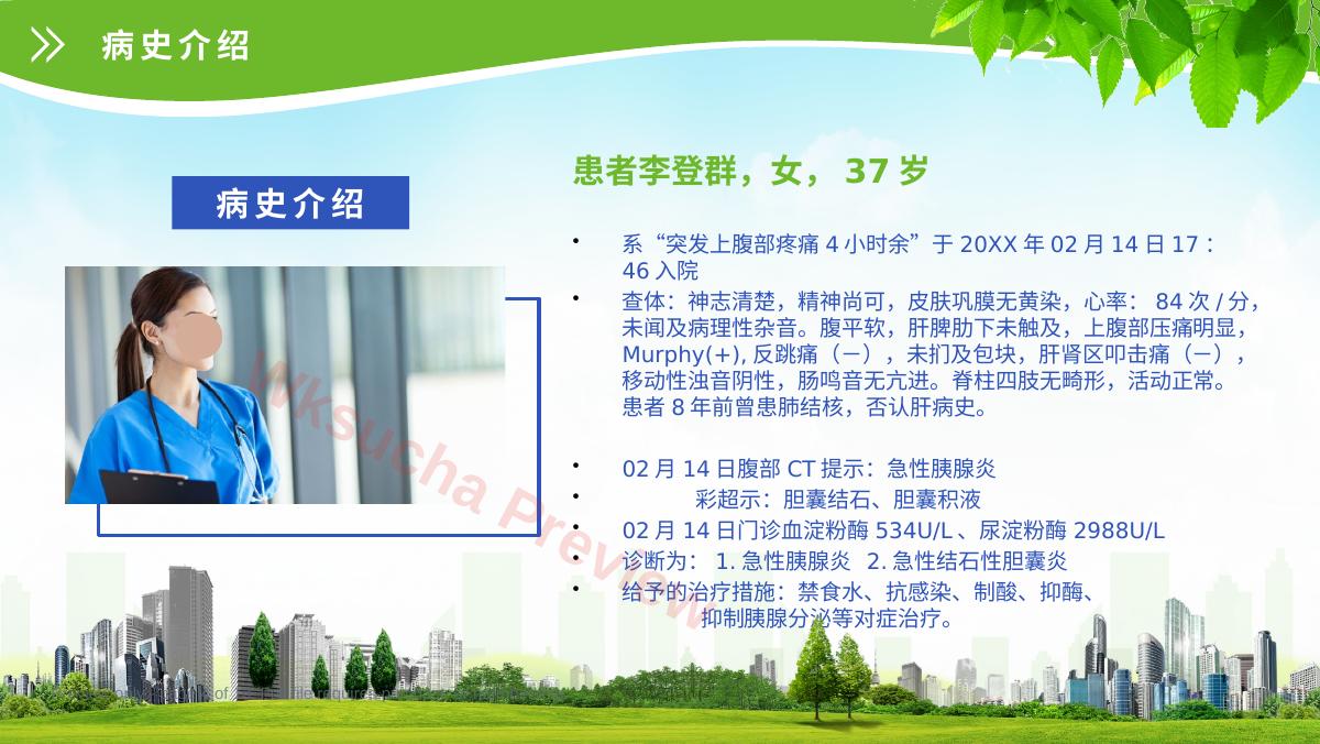 预览第 4 页
