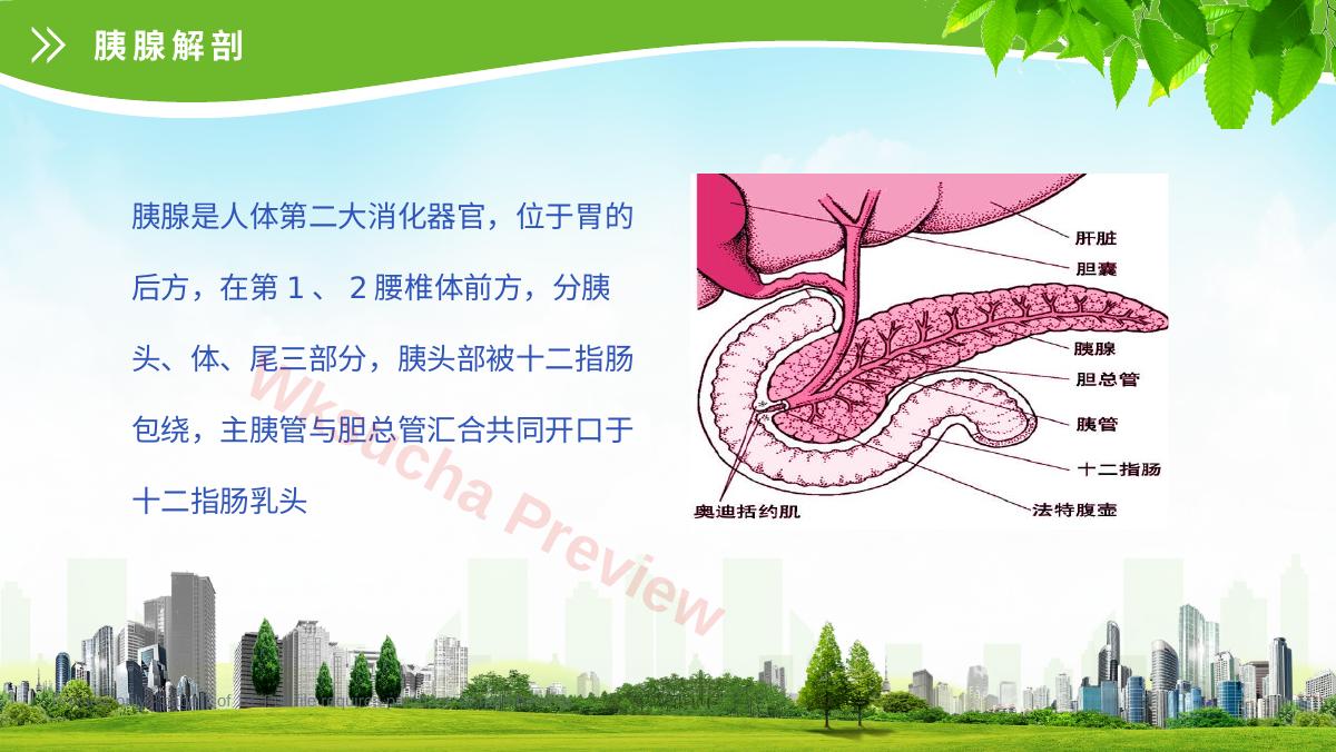 预览第 7 页