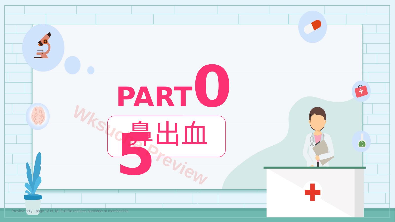 预览第 13 页