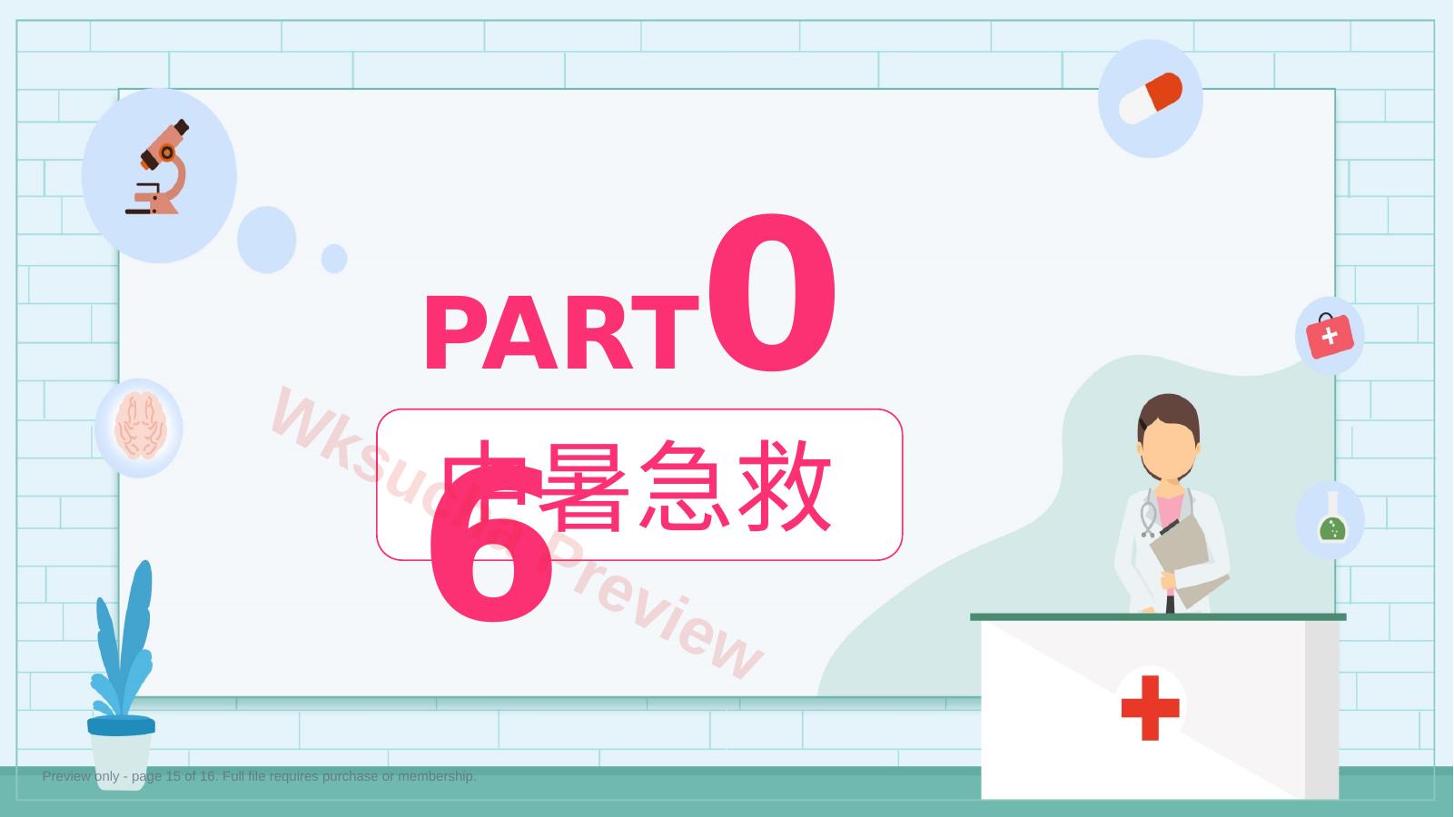 预览第 15 页