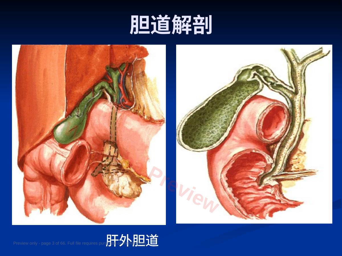 预览第 3 页