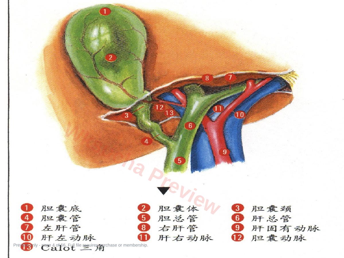 预览第 4 页