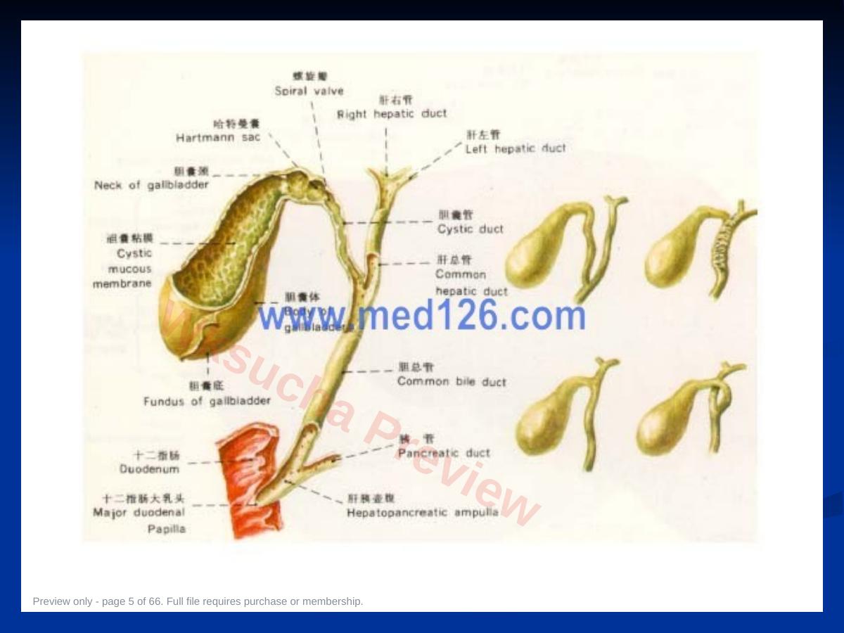 预览第 5 页