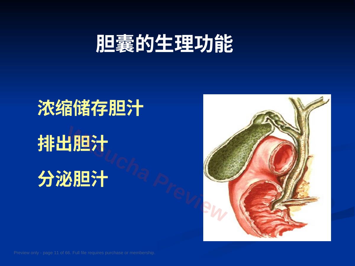 预览第 11 页