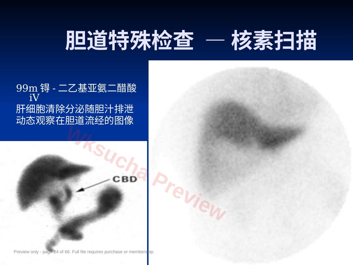 预览第 24 页