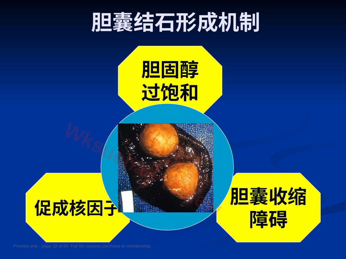 预览第 32 页