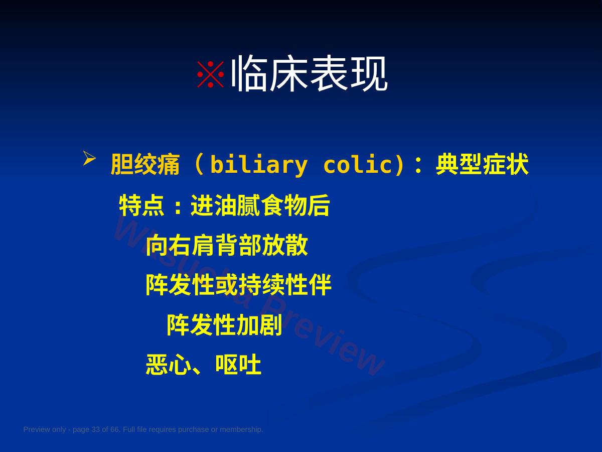预览第 33 页