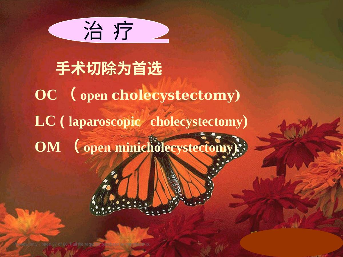 预览第 37 页