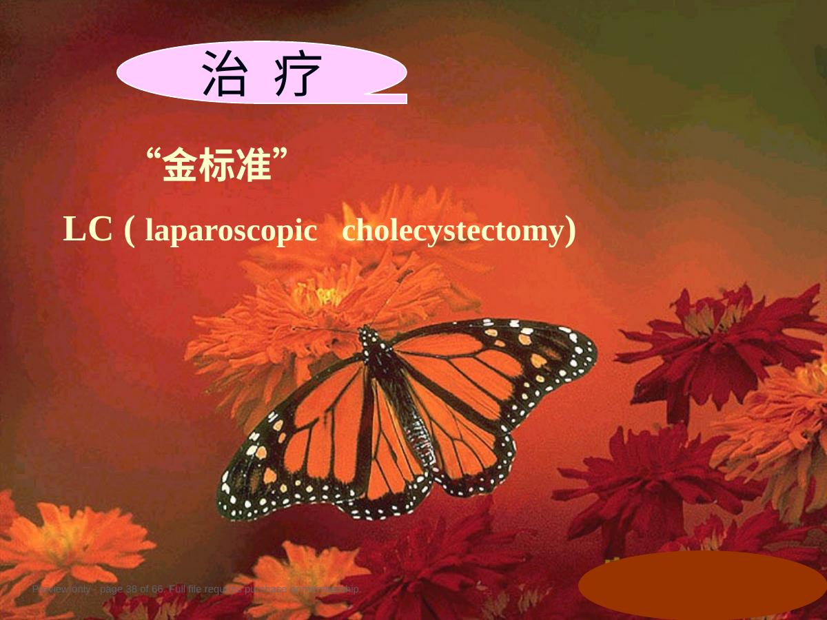 预览第 38 页