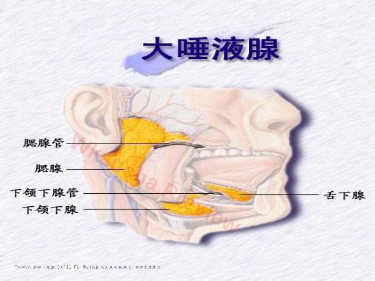 预览第 3 页