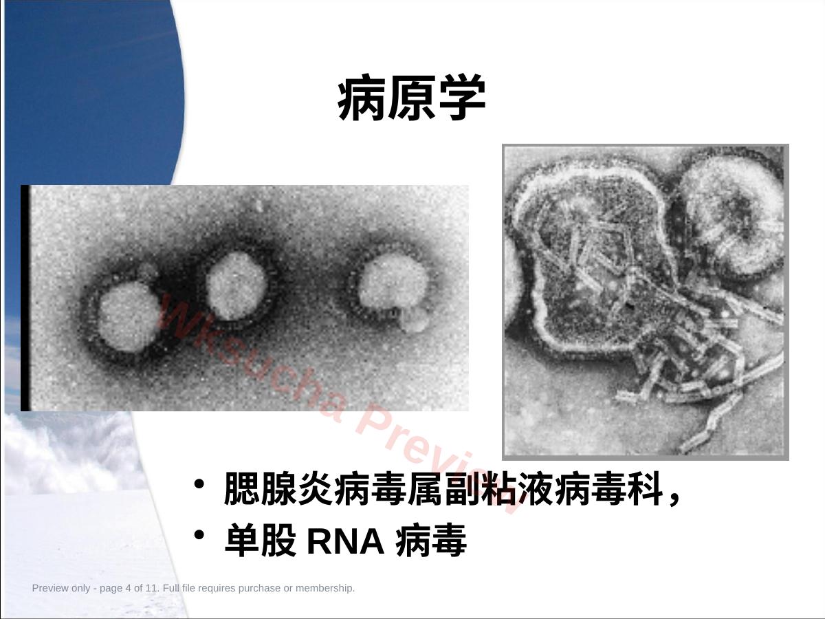预览第 4 页